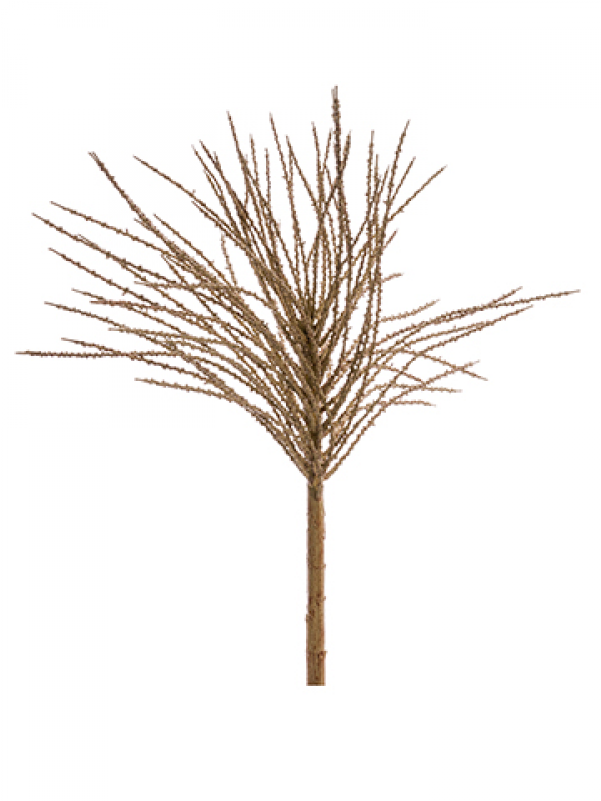 5" Dried Look Palm Seed Spray Tan - Sunless Tanning (800x800), Png Download