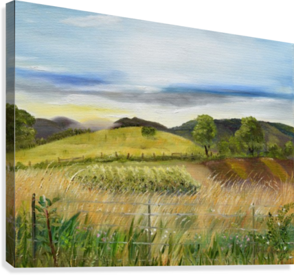 Pasture Love At Chateau Meichtry Canvas Print - Chateau Meichtry Family Vineyard And Winery (428x401), Png Download