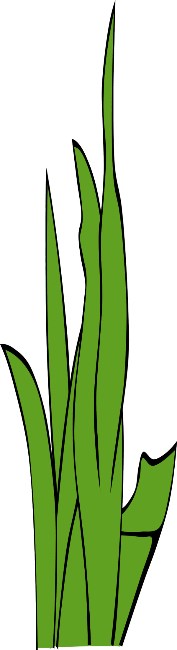 Swamp Clipart Grass Field - Blade Of Grass Clipart (600x2192), Png Download