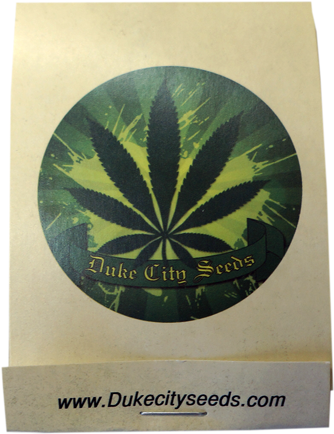 Space Jam - Haze (1000x1000), Png Download