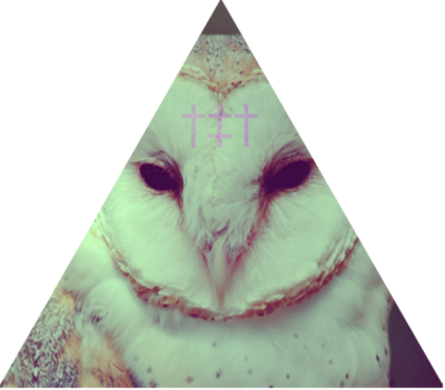The Gallery For > Tumblr Themes Hipster Cross - Barn Owl Wallpaper Android (400x351), Png Download