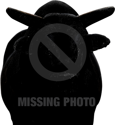 Dark Magician - Progressive Goa Trance Vol (391x421), Png Download