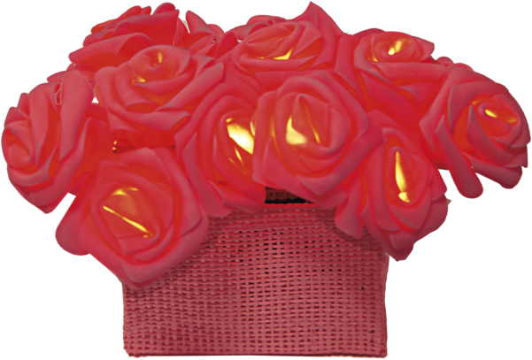 Light Chain Rosebush - Rose (600x600), Png Download