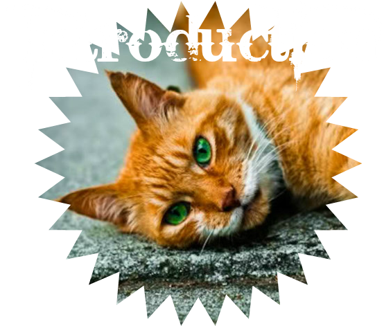 Ebeautiful Cat Image With Green Eyes - Ginger Cat With Green Eyes (800x506), Png Download