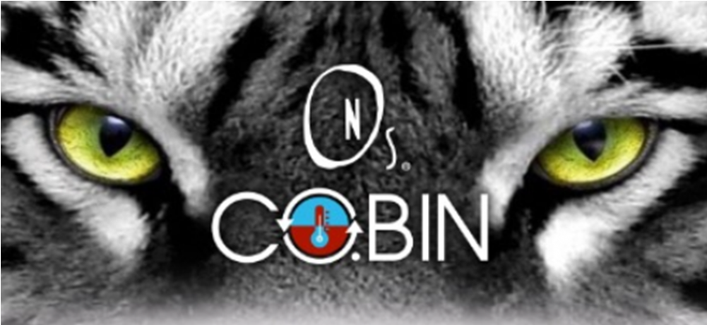 Cobin Tiger Eye Nails (1000x700), Png Download