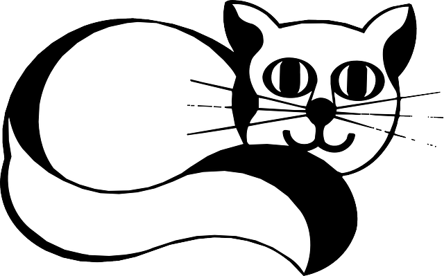 Cat, Eyes, Black, White, Smiling, Long, Tail, Huge - Gambar Kucing Hitam Putih (640x399), Png Download