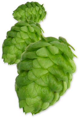 Hop-nugget - Hop Png (300x400), Png Download