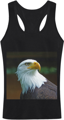 Bald Eagle Head Men's I-shaped Tank Top - Bald Eagle Head 02 Beach Towel (500x500), Png Download