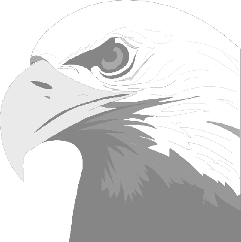 Mb Image/png - Eagle Screens (only) By Baggo (800x802), Png Download