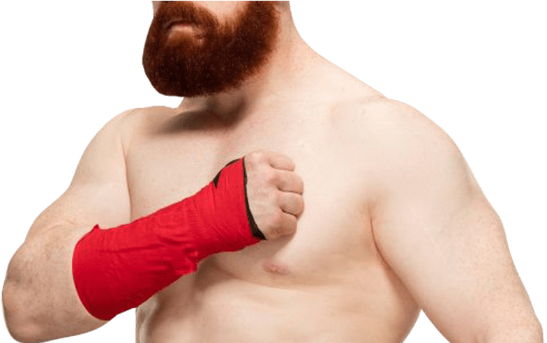 Sheamus Png Pic Png Mart - Sheamus (800x491), Png Download