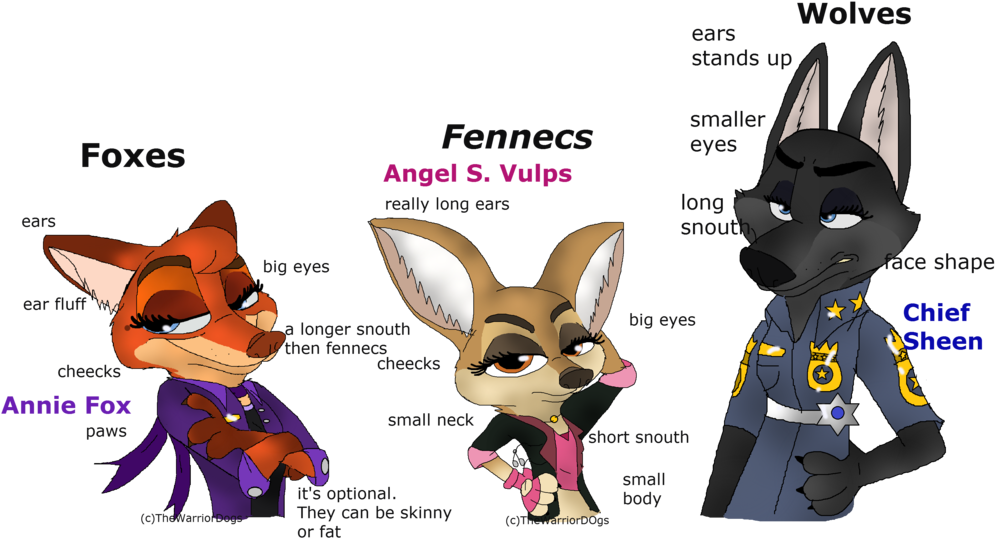 Zootopia - Draw A Zootopia Wolf (1024x546), Png Download