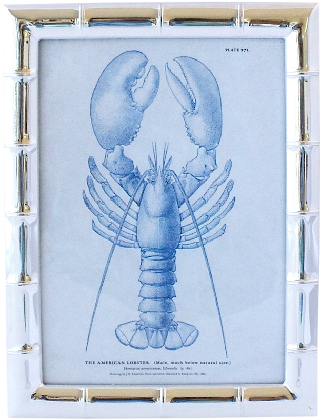 Plantation Bamboo Frame - Red American Lobster Oval Ornament (900x900), Png Download