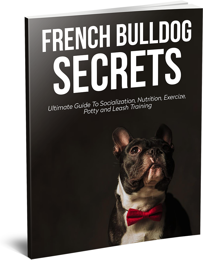 **e-book Available Now** This Guide Was Written By - French Bulldog Secrets (800x1091), Png Download