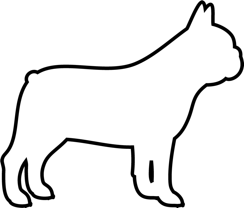 French Bulldog Outline - French Bulldog Face Outline (800x800), Png Download