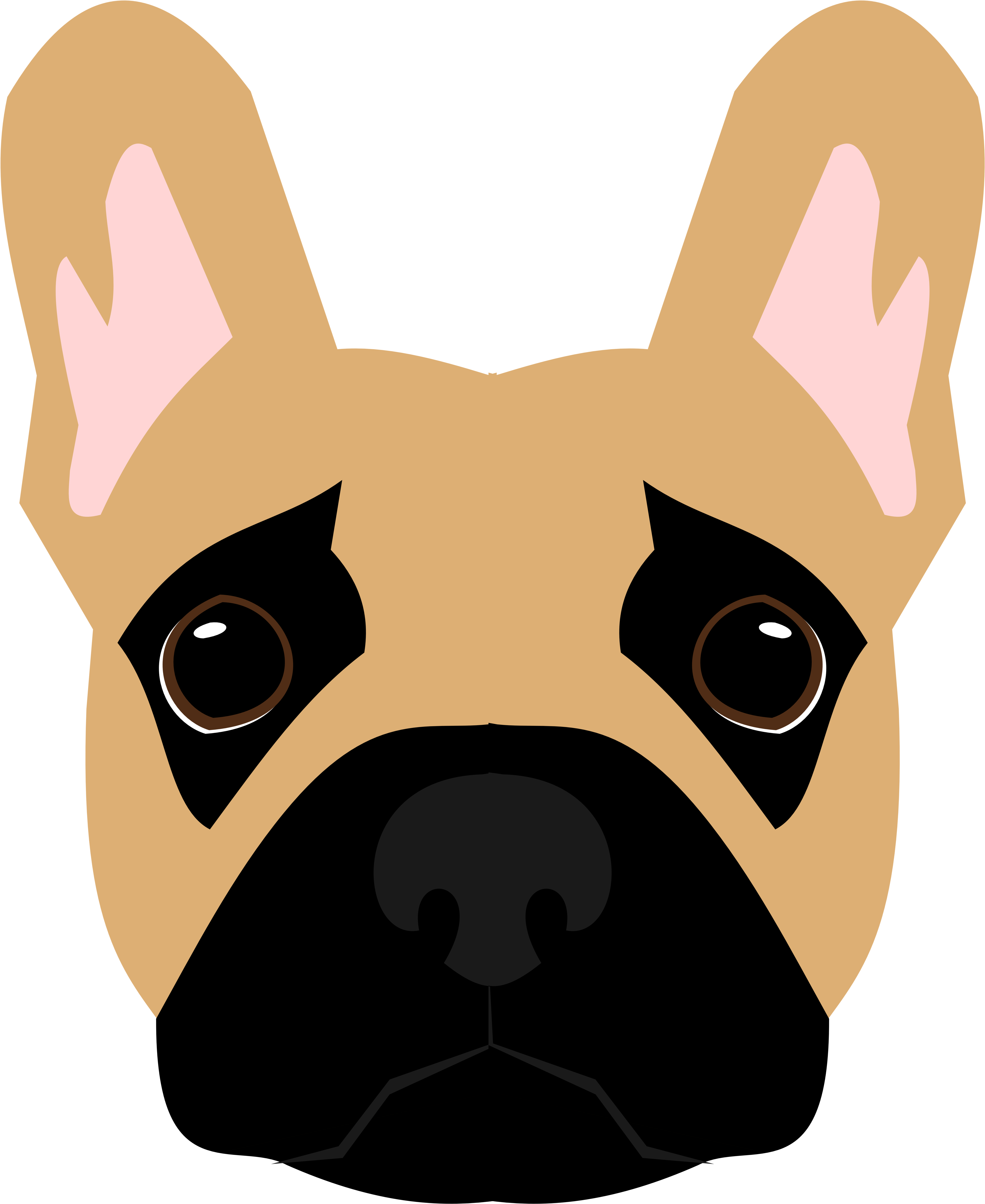 Paw Licking And Chewing In The French Bulldog - Dog (5184x6272), Png Download