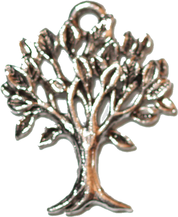 Tree Of Life - Oak (670x814), Png Download