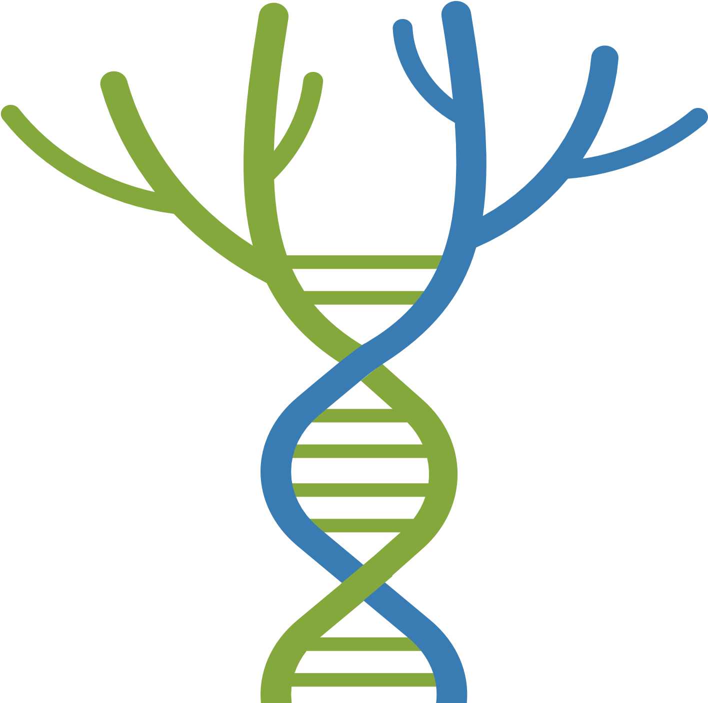 Ctf Tree Of Life - Companies That Mimic Life: Leaders Of The Emerging (1920x1894), Png Download