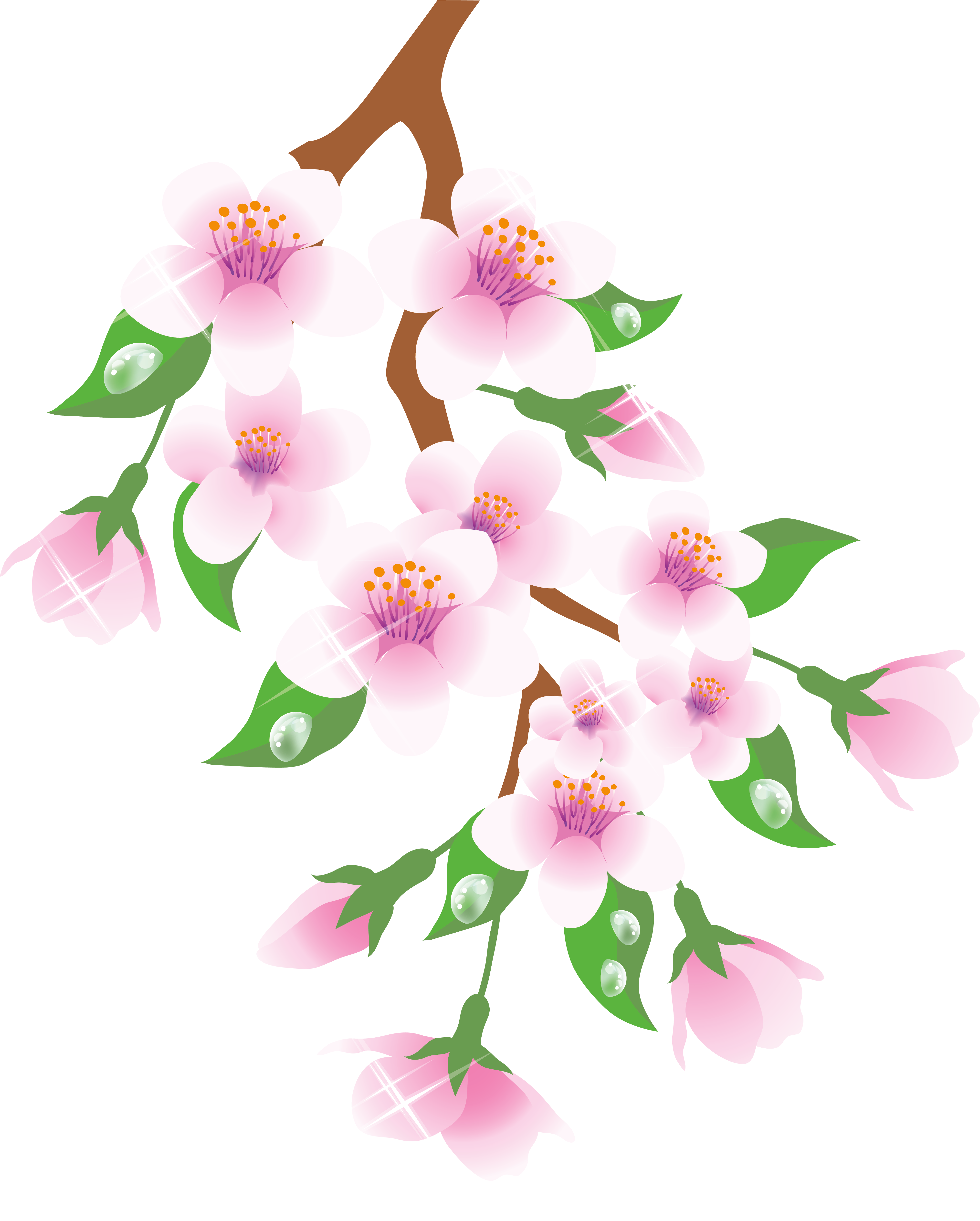 Branch Clipart Spring - Spring Png Clipart (4453x5245), Png Download