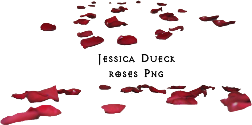 Flower Petals Falling Png - Rose Petals On Floor Png (1024x565), Png Download