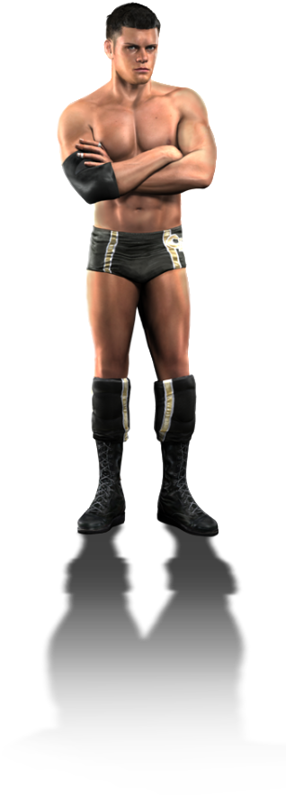 Smackdown Vs Raw 2010 (345x1024), Png Download