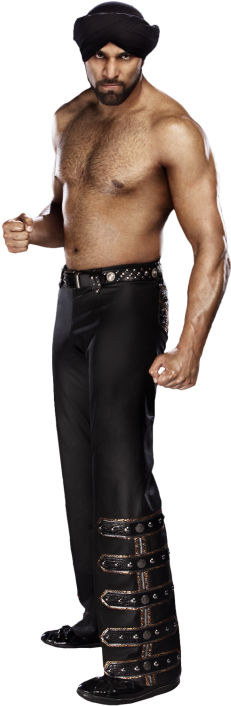 Jindermahal Full Stat - Wwe Com Jinder Mahal (320x728), Png Download