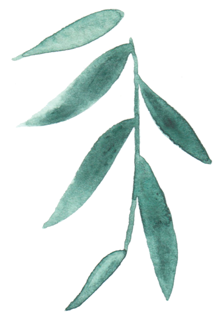 Favorite Things - Leaf Minimal Png (800x720), Png Download