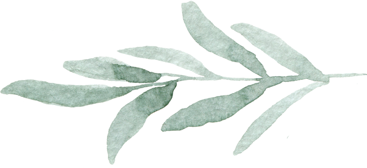 Open Post - Russian Olive (1223x588), Png Download