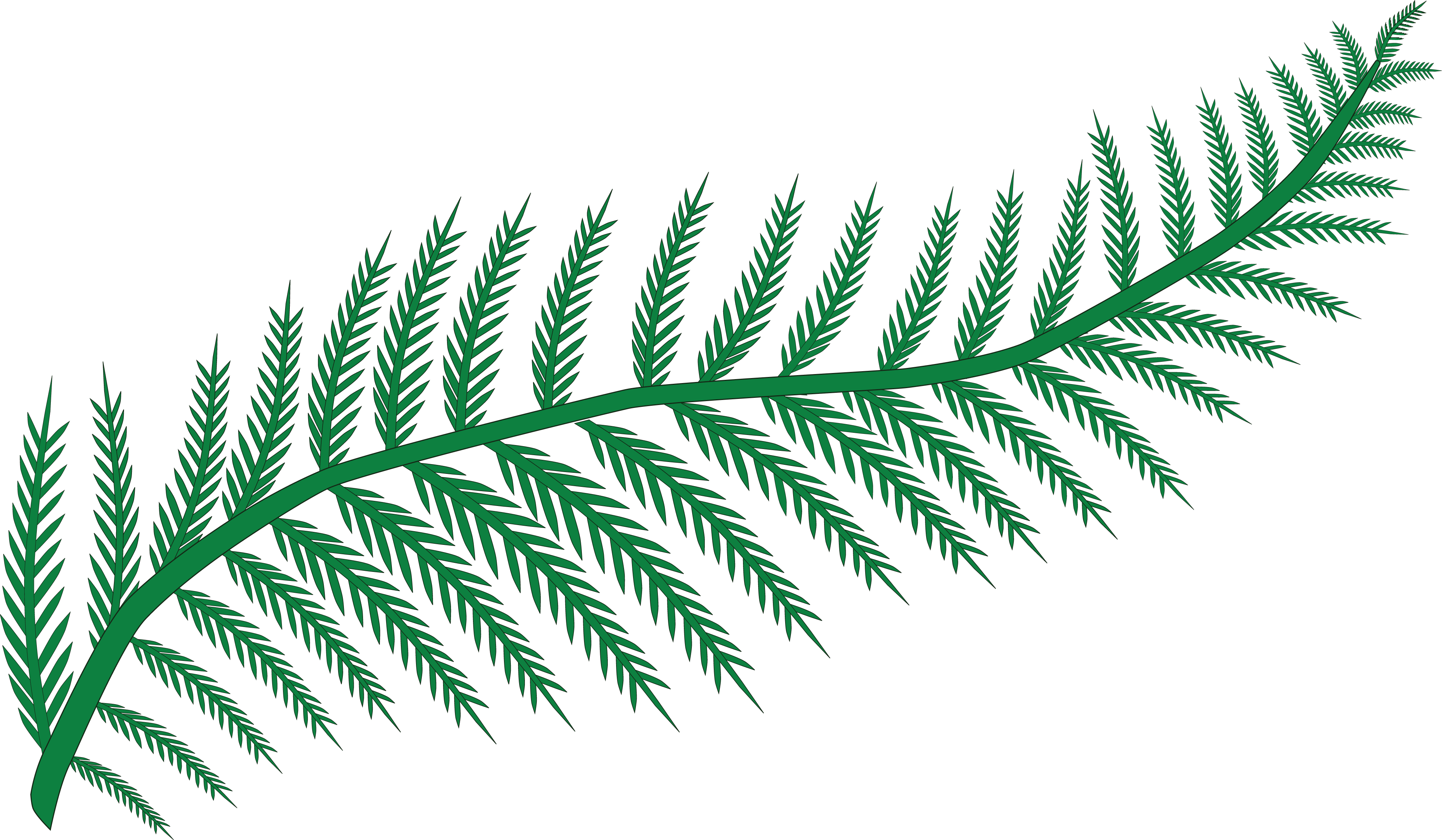 Free Clipart Of A Fern - Fern Clipart (4000x2331), Png Download