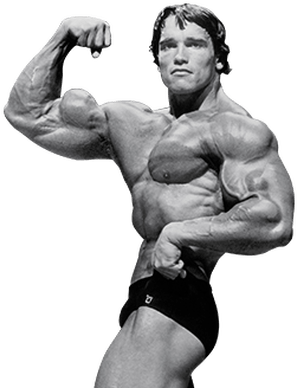 Arnold Schwarzenegger Png File - Arnold Png (400x400), Png Download
