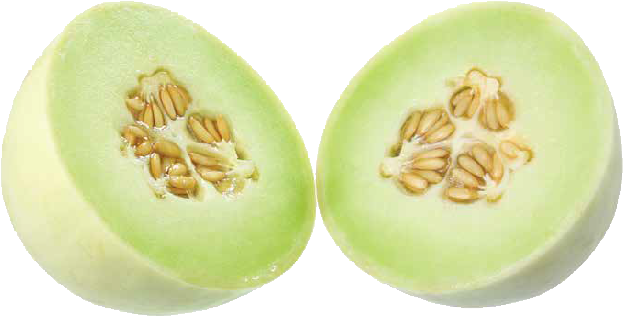 Download Type Honeydew Honeydew Full Size PNG Image PNGkit