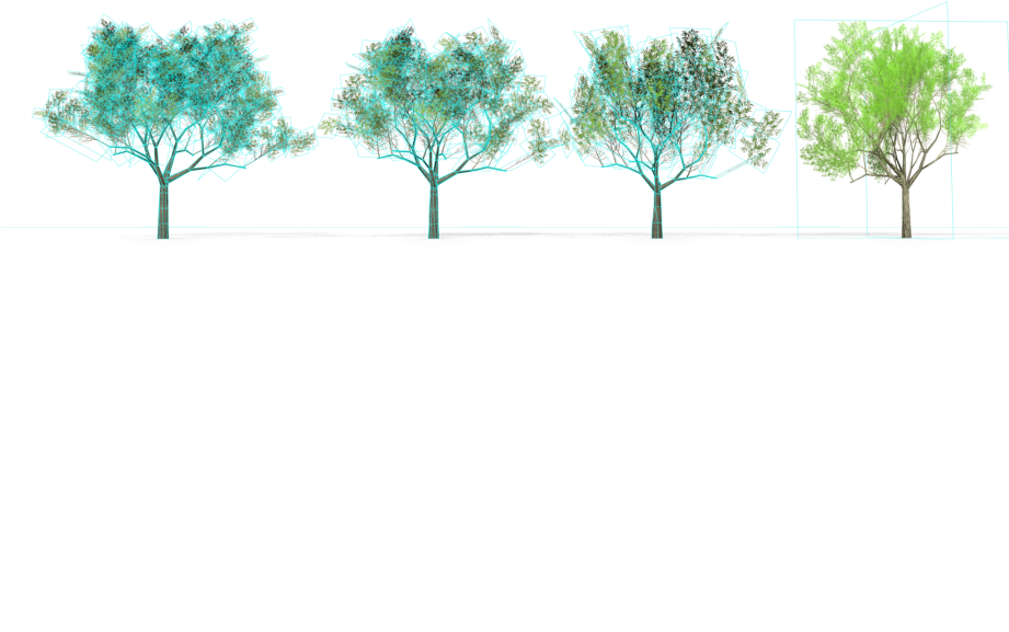 6 Eucalyptus Crebra Tree Royalty-free 3d Model - Eucalyptus Crebra (920x920), Png Download