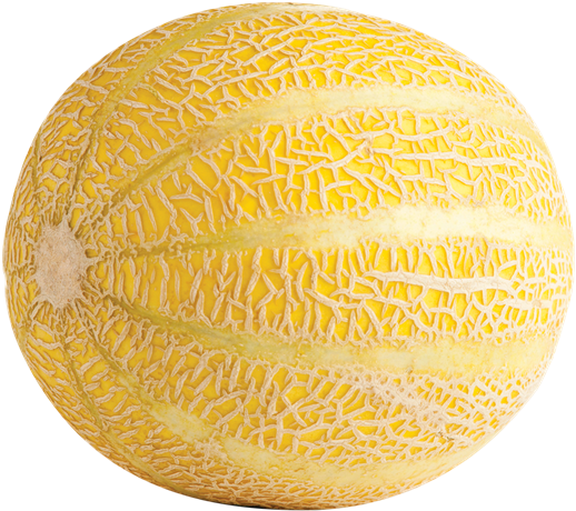 Lemon Drop Melon - Lemondrop Melon (600x533), Png Download
