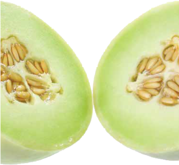 Type - Honeydew - Myluxury1st Green Melon 15 Ml Liquid Candle Dye Concentrated (370x370), Png Download