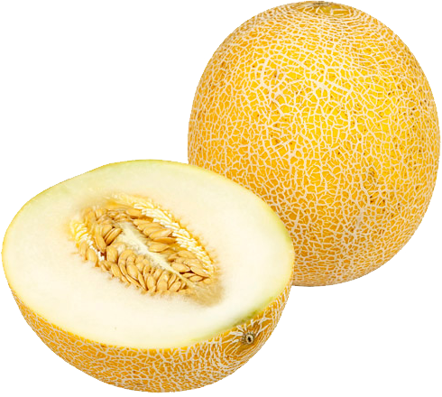 Melon Png - Muskmelon (490x440), Png Download