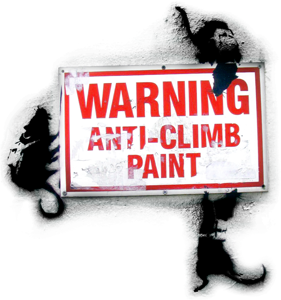 Wall And Piece By Banksky (1000x1000), Png Download