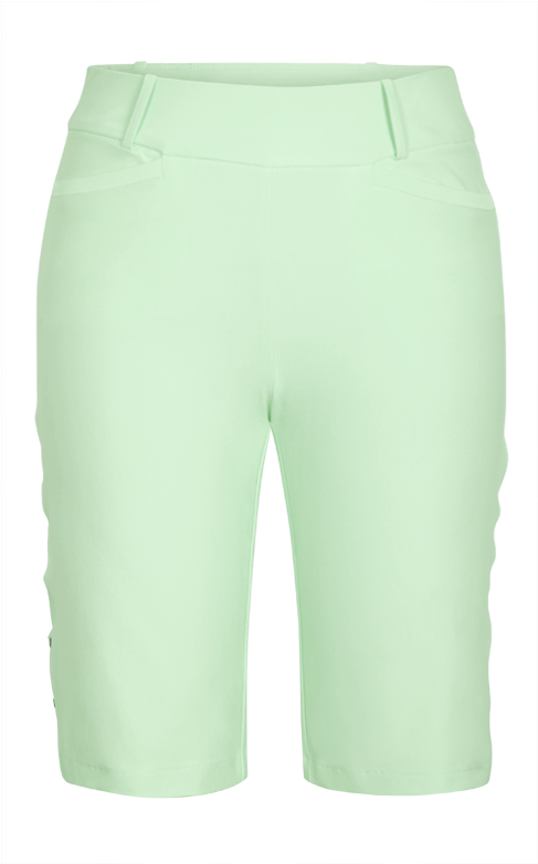 Dana Short - Board Short (500x781), Png Download