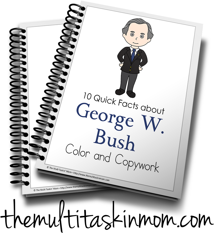 Bush - Income Tax School Certificate (900x983), Png Download