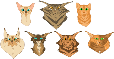 After I Redid My Tawnypelt Design I Really Decided - Cat (500x263), Png Download
