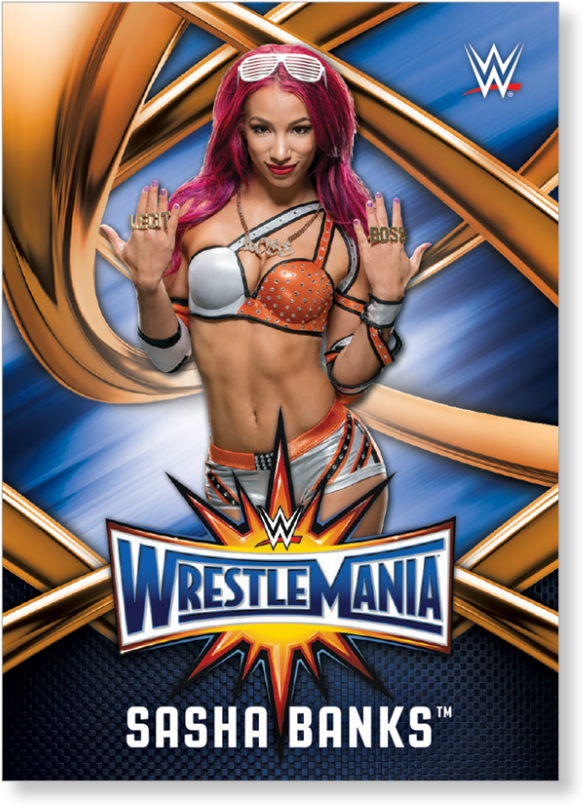 Sasha Banks - Official Wwe The Shows Hard Back Case (1440x975), Png Download