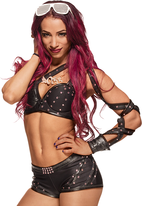 Sasha Banks Renders 1 By Wwepnguploader - Wwe Sasha Banks Render (489x708), Png Download