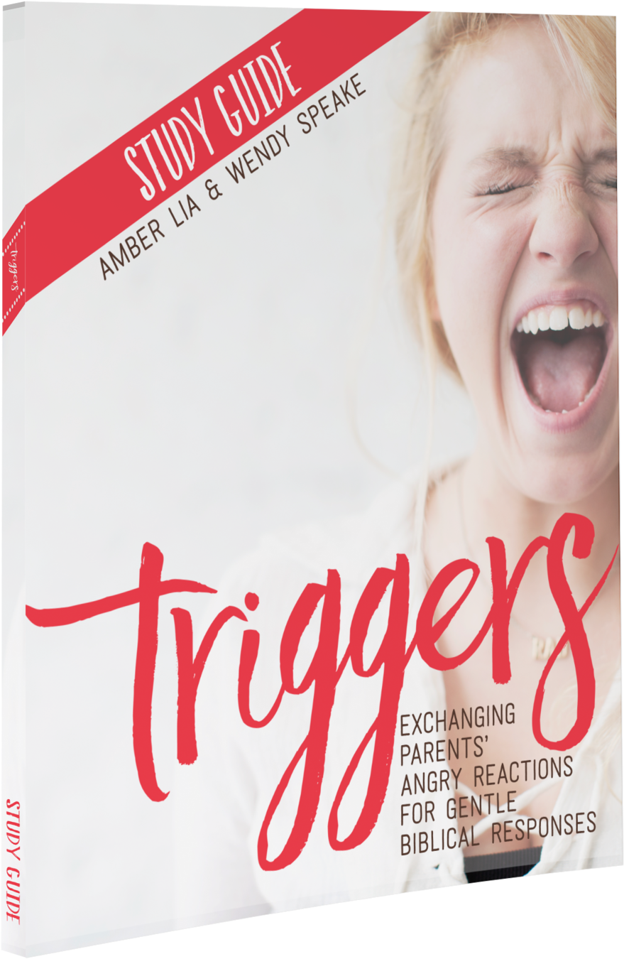 Triggers Studyguide Mockup1 (1000x1478), Png Download