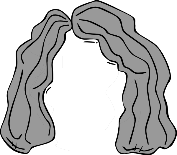 Download How To Set Use Grandma Wig Clipart Full Size Png Image Pngkit