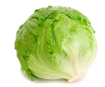 Melon And Baby Artichoke Salad - Head Of Lettuce (450x300), Png Download