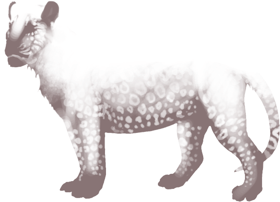 Lion (640x500), Png Download
