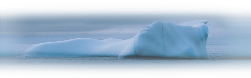 Isotza - Iceberg (800x249), Png Download