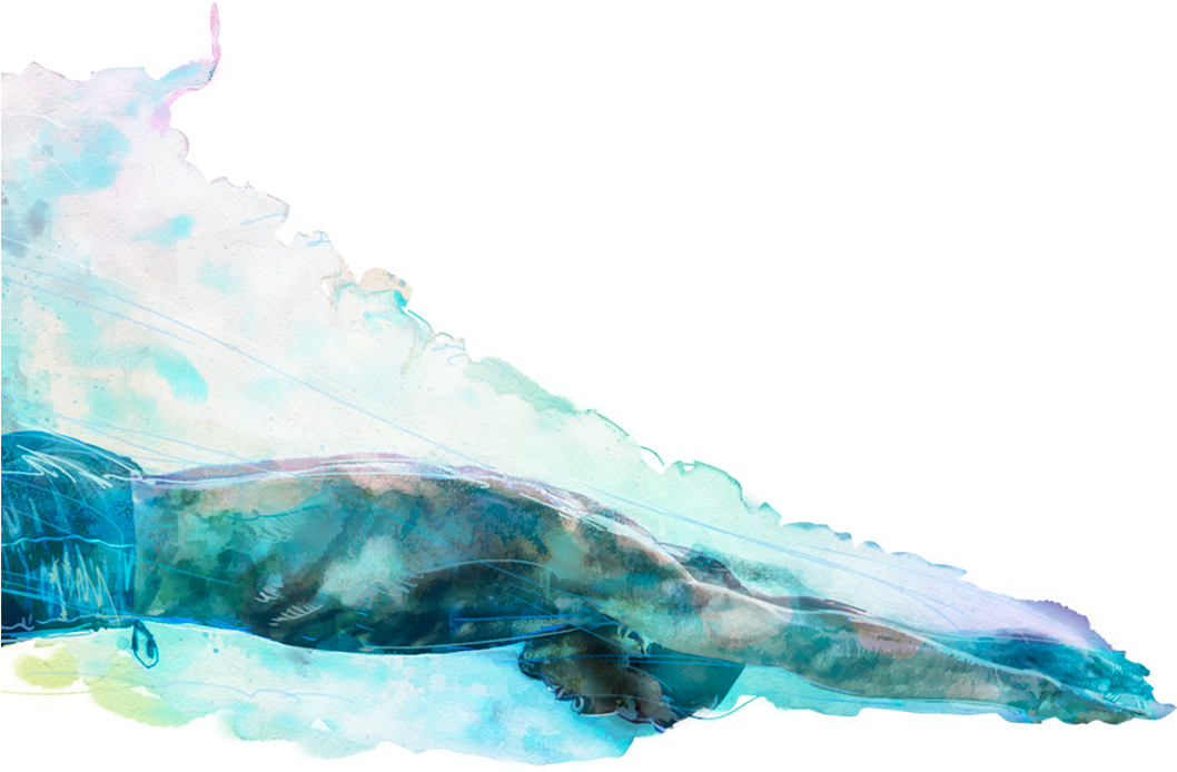 We Provide Comprehensive, Tailor-made Courses And Services - Watercolor Paint (1057x809), Png Download