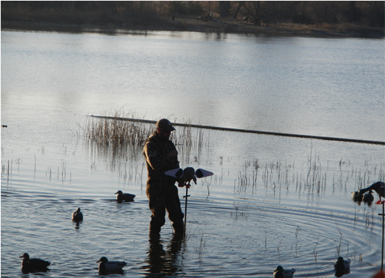 Duck Hunting - Waterfowl Hunting (800x400), Png Download