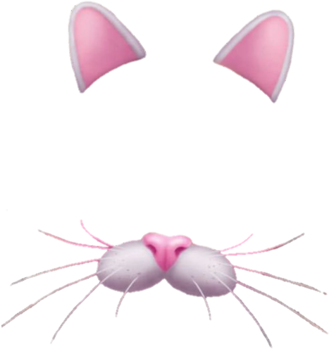 Snapchat, Cat, And Png Image - Snapchat Cat Filter Png (500x576), Png Download