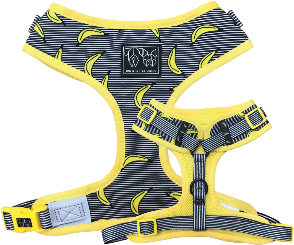 Big & Little Dogs Adjustable Pet Harness - Dog (1024x1024), Png Download