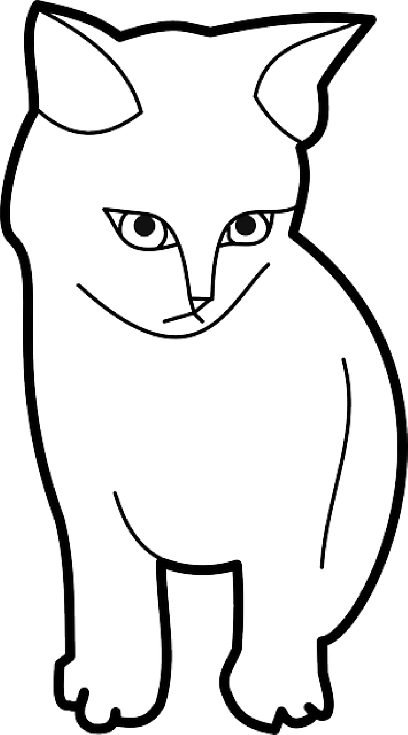 Mb Image/png - Cat Outline Png (800x1442), Png Download